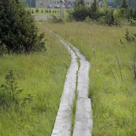 Altmoisa Külalistemaja Tuuru