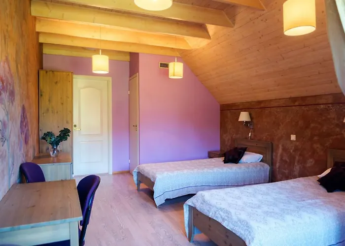 Guest house Altmoisa 3*